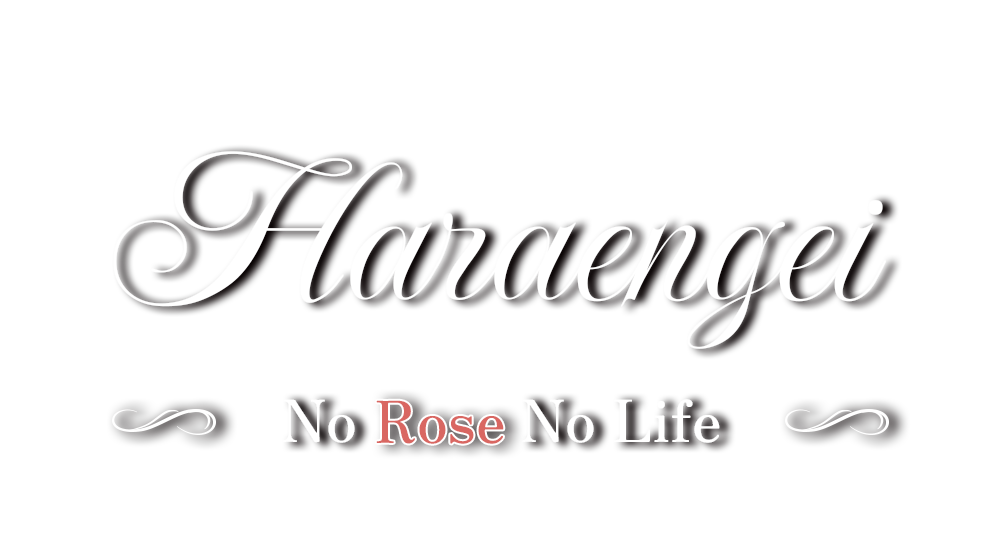 No Rose No Life